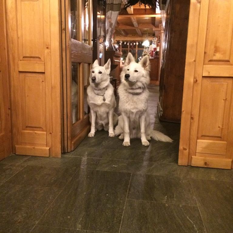 Hotel Lyshaus グレッソネイ・サイント・ジェアン エクステリア 写真
