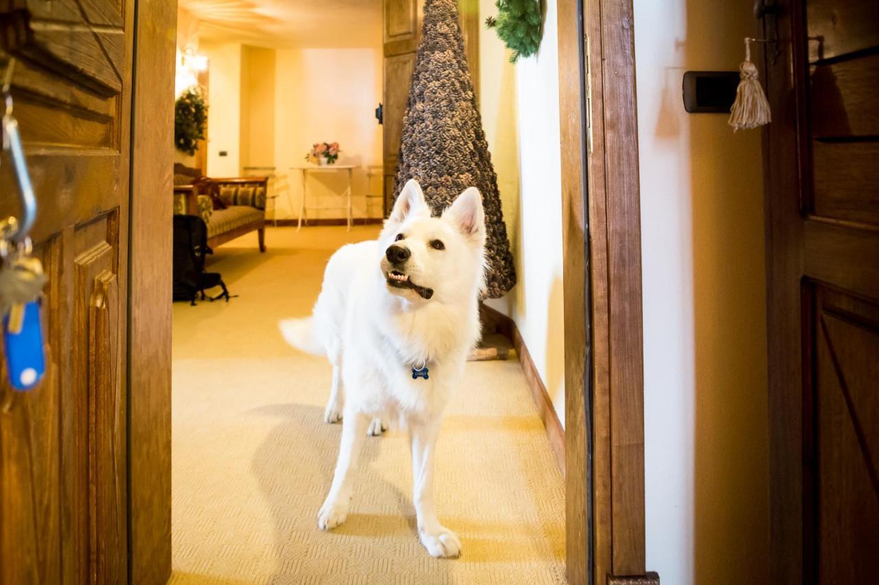 Hotel Lyshaus グレッソネイ・サイント・ジェアン エクステリア 写真